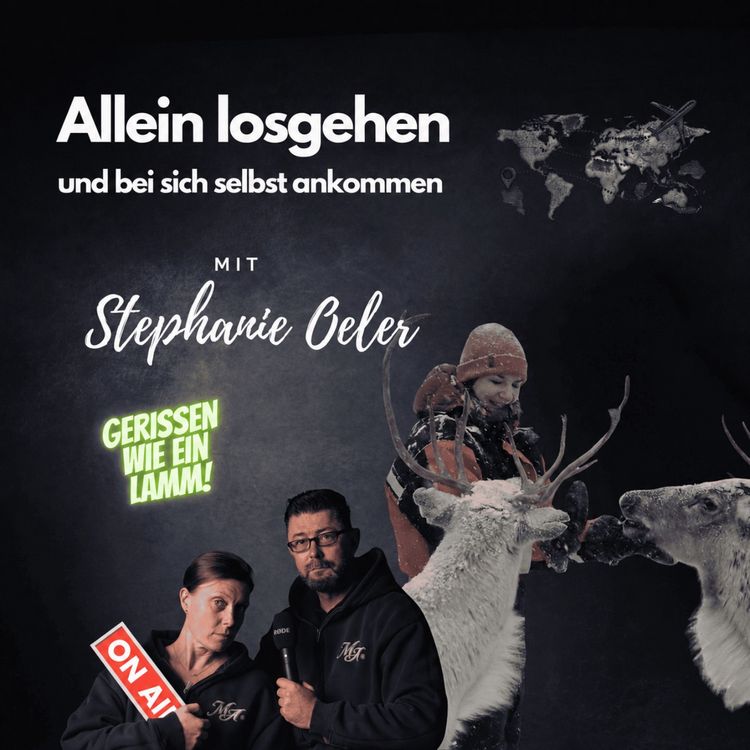 cover art for #86 Allein losgehen