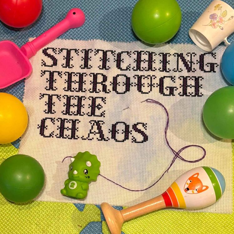 cover art for the Stitch