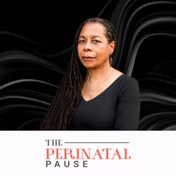 cover art for The Perinatal Pause