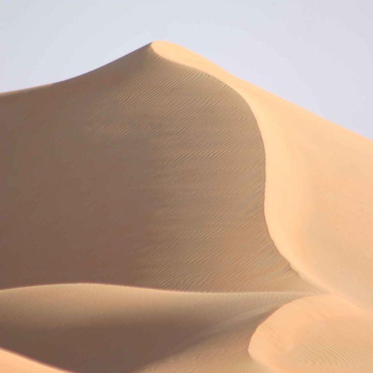 cover art for Off-road in the Rub' al Khali desert