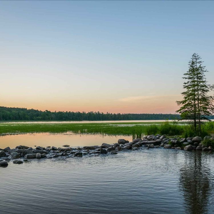 cover art for Watching the birth of the Mississippi River