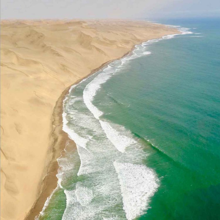 cover art for Alone on the ghostly Skeleton Coast