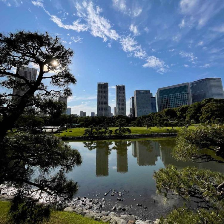 cover art for Tokyo tranquillity in an urban park