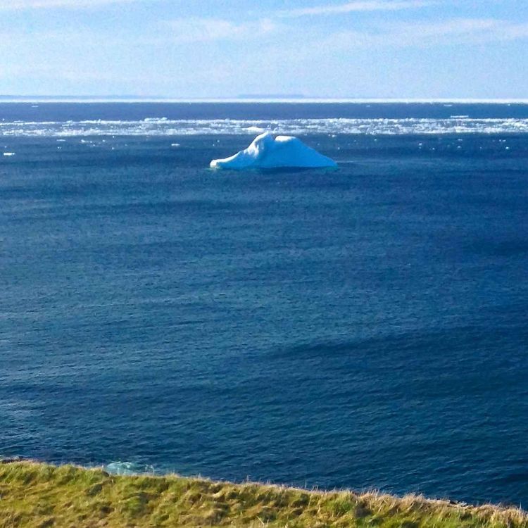 cover art for Adopting an iceberg in Canada