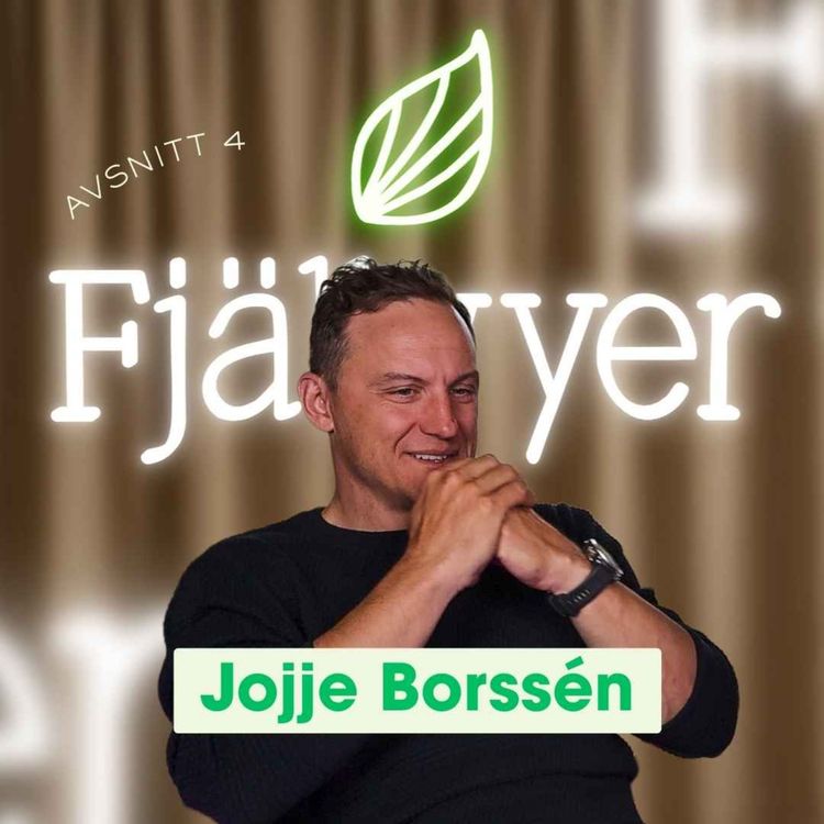 cover art for Fjällvyer med Jojje Borssén