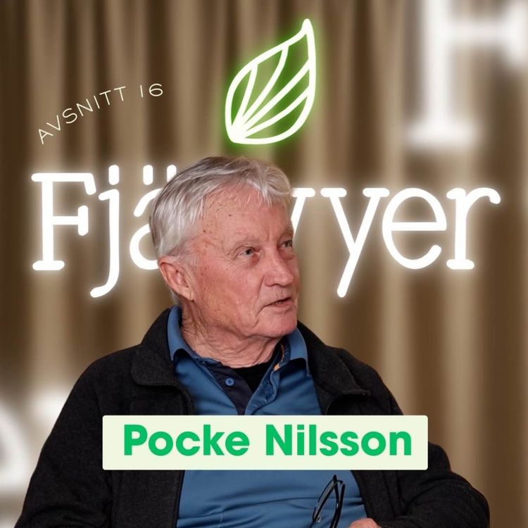 cover art for Fjällvyer med Pocke Nilsson