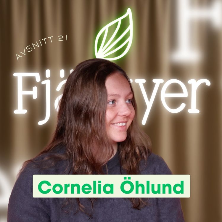 cover art for Fjällvyer med Cornelia Öhlund