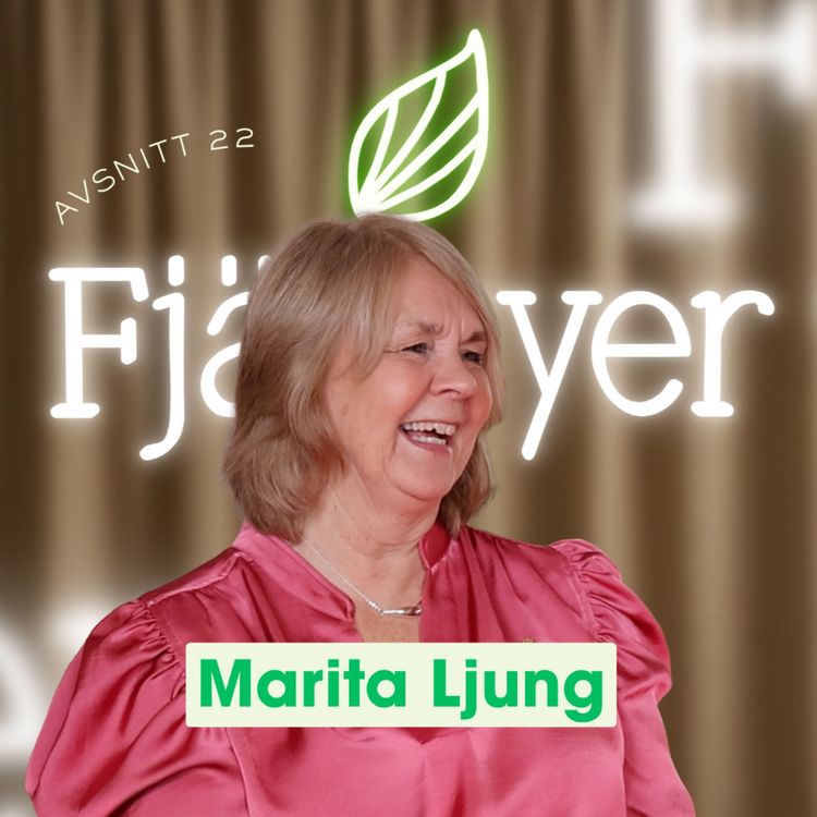 cover art for Fjällvyer med Marita Ljung