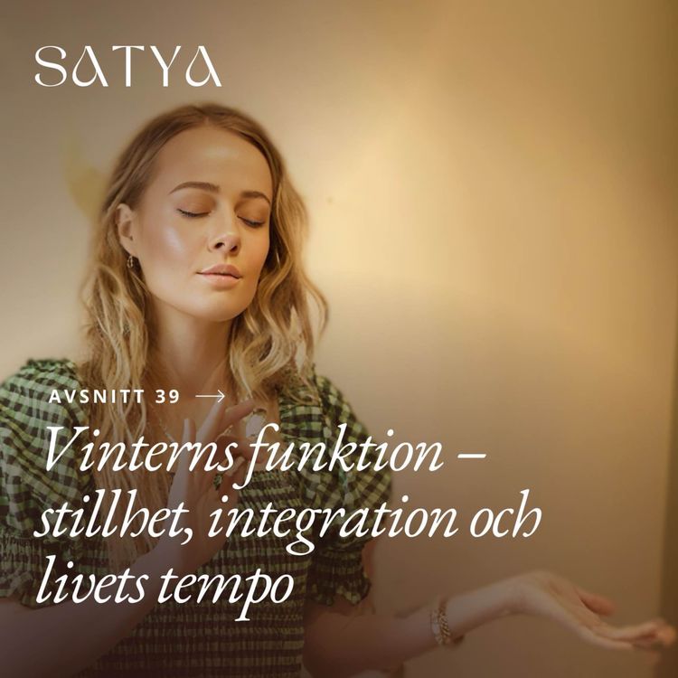 cover art for Vinterns funktion – stillhet, integration och livets tempo