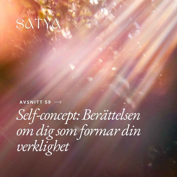cover art for Self-concept: Berättelsen om dig som formar din verklighet