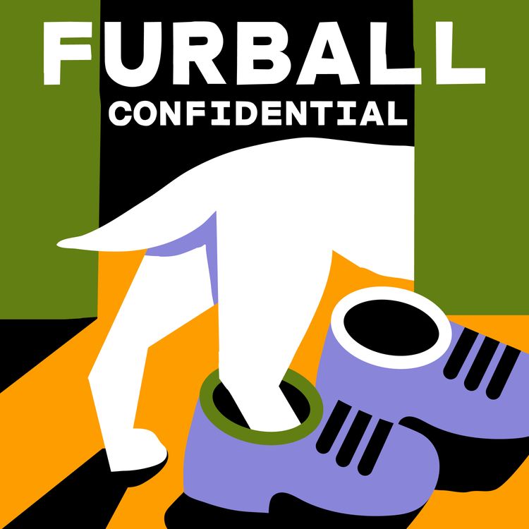 cover art for Furball Confidential Trailer