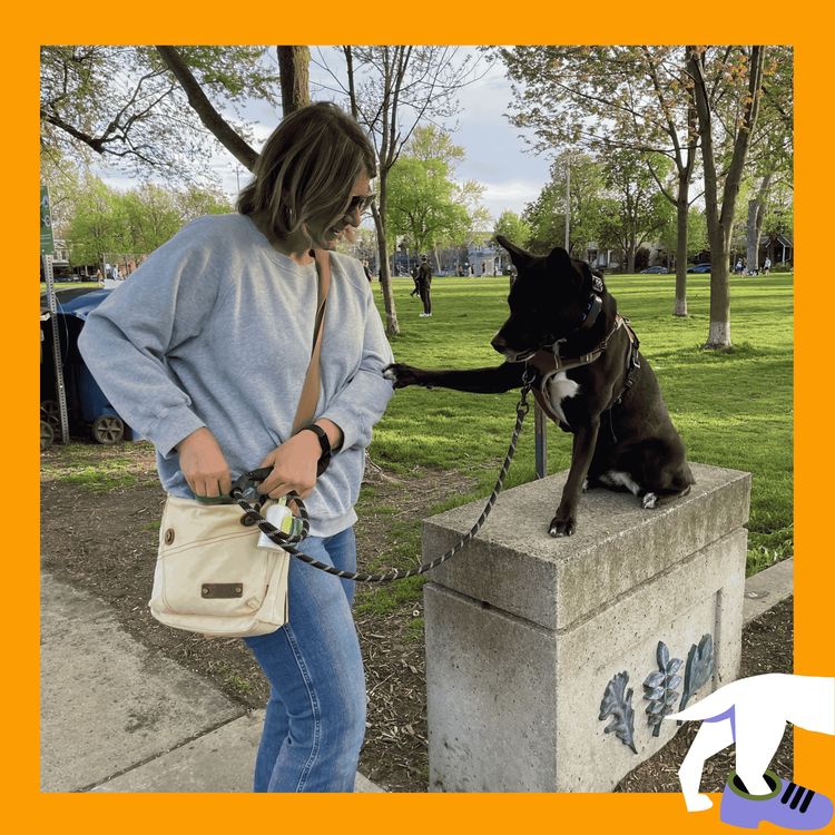 cover art for A Letter to My Dog