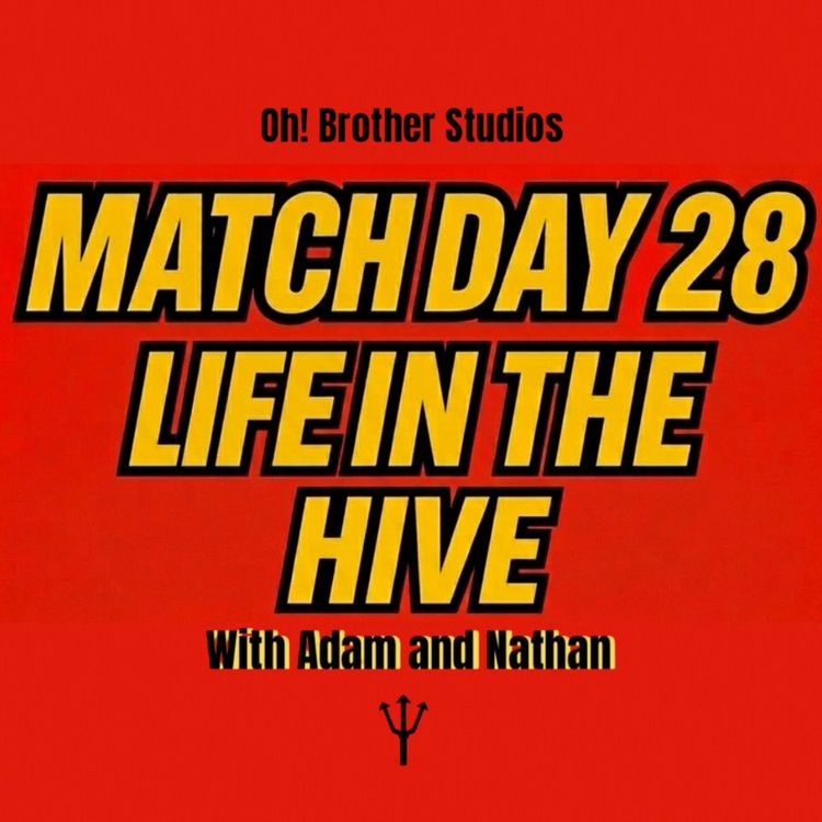 cover art for Match Day 28 - Life in the Hive
