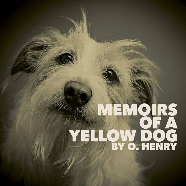 cover art for Memoirs of a Yellow Dog–a Classic Short Story by O. Henry