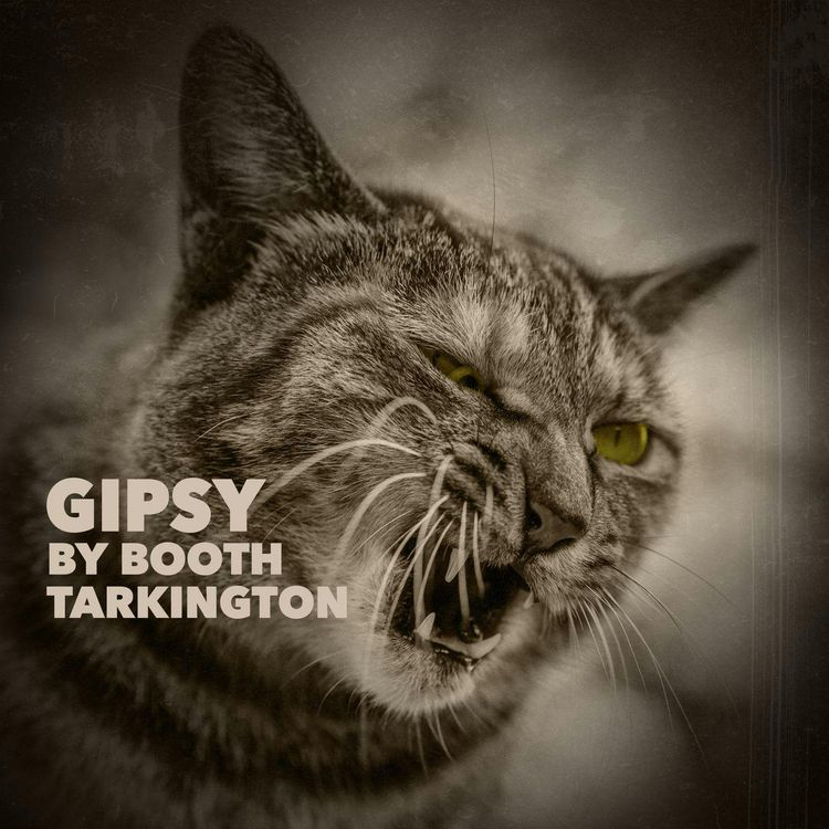 cover art for Gipsy–a Classic Short Story by Booth Tarkington
