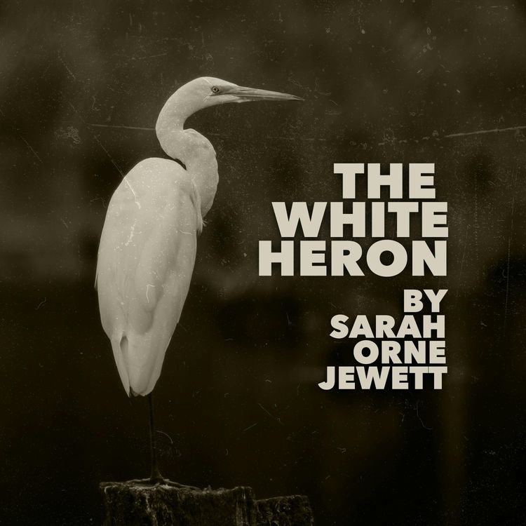 cover art for The White Heron–A Classic Short Story by Sarah Orne Jewett