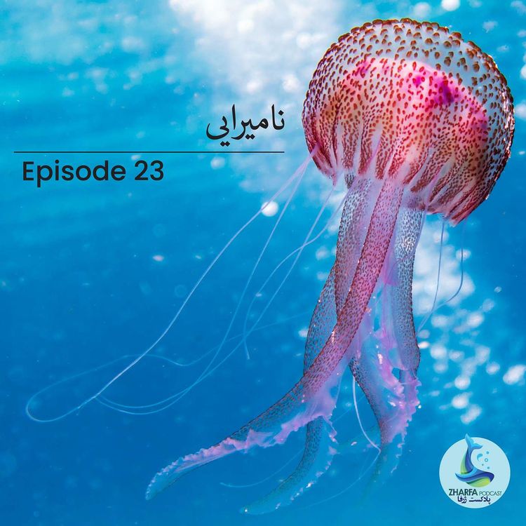cover art for شماره بیست و سوم - نامیرایی