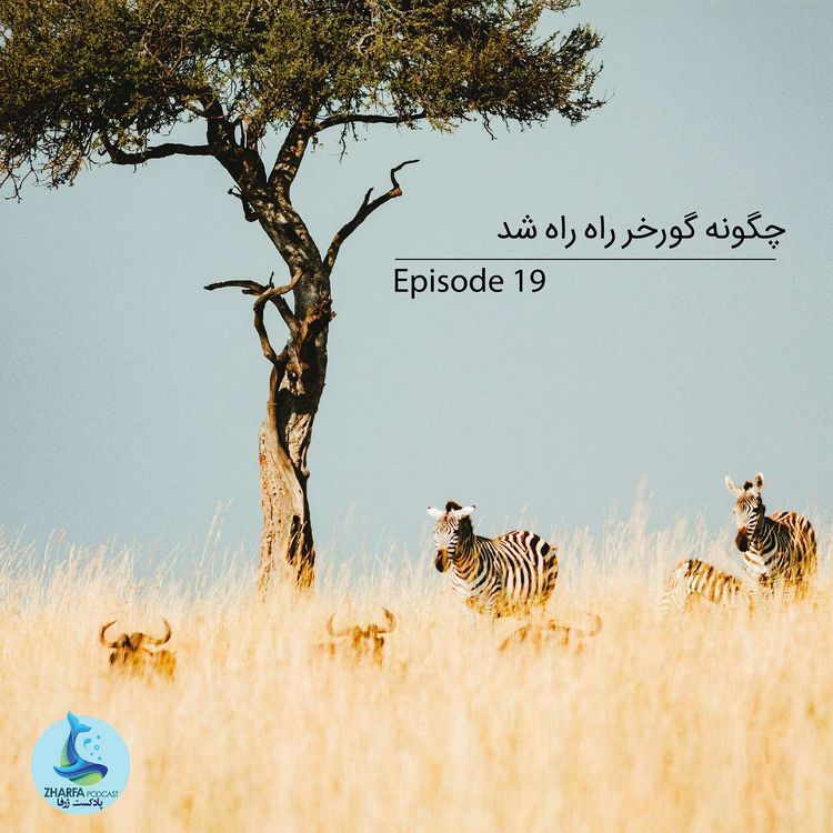 cover art for شماره نوزدهم - چگونه گورخر راه راه شد