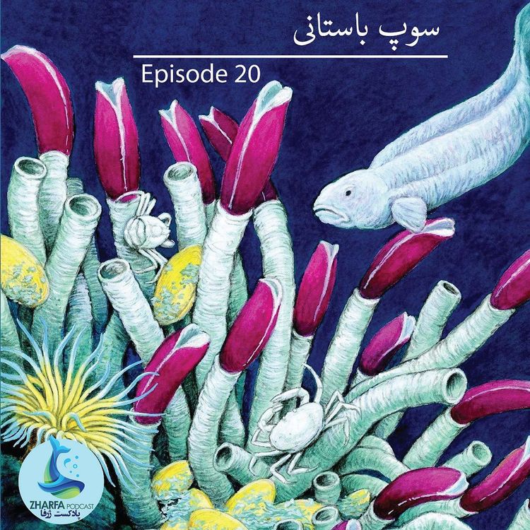 cover art for شماره بیستم - سوپ باستانی