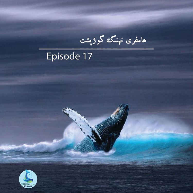 cover art for شماره هفدهم - هامفری نهنگ گوژپشت