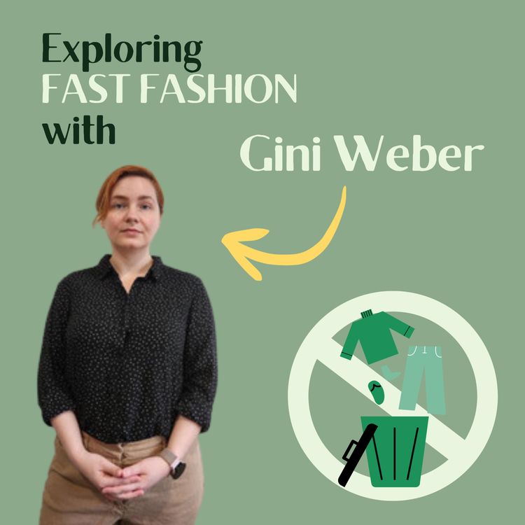 cover art for Fast Fashion