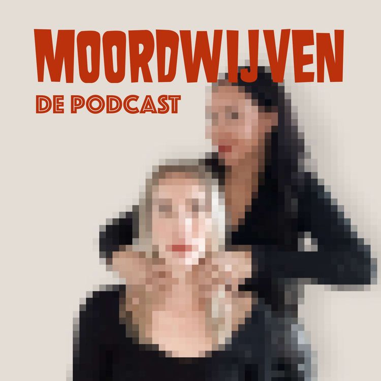 cover art for 56. Aftertalk - De vrouw in het water