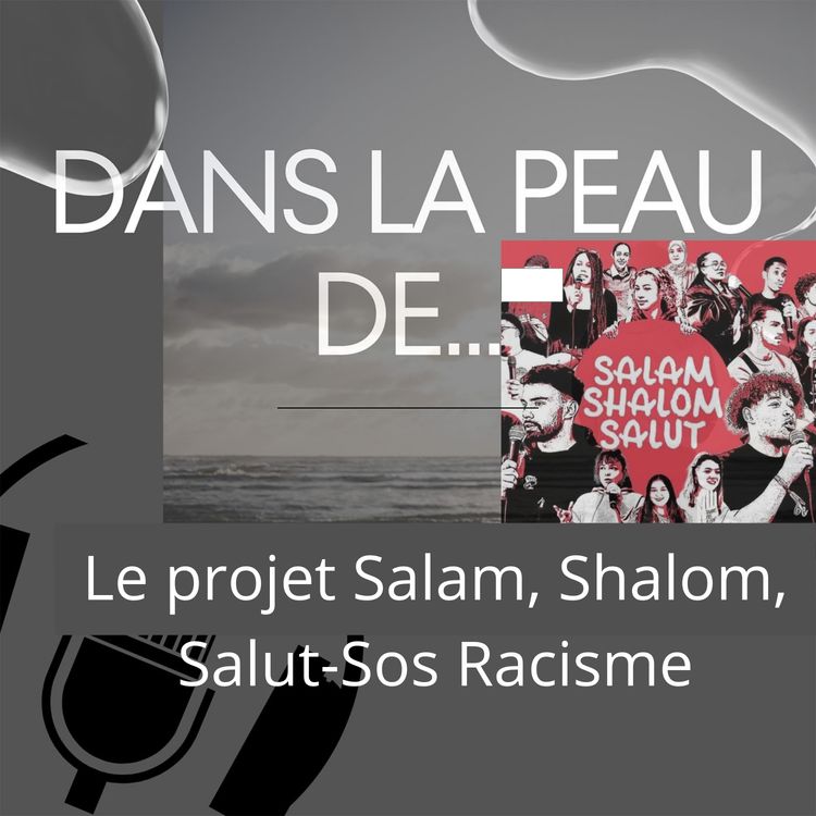 cover art for Dans la peau de...Le projet salam, shalom, salut-association SOS Racisme