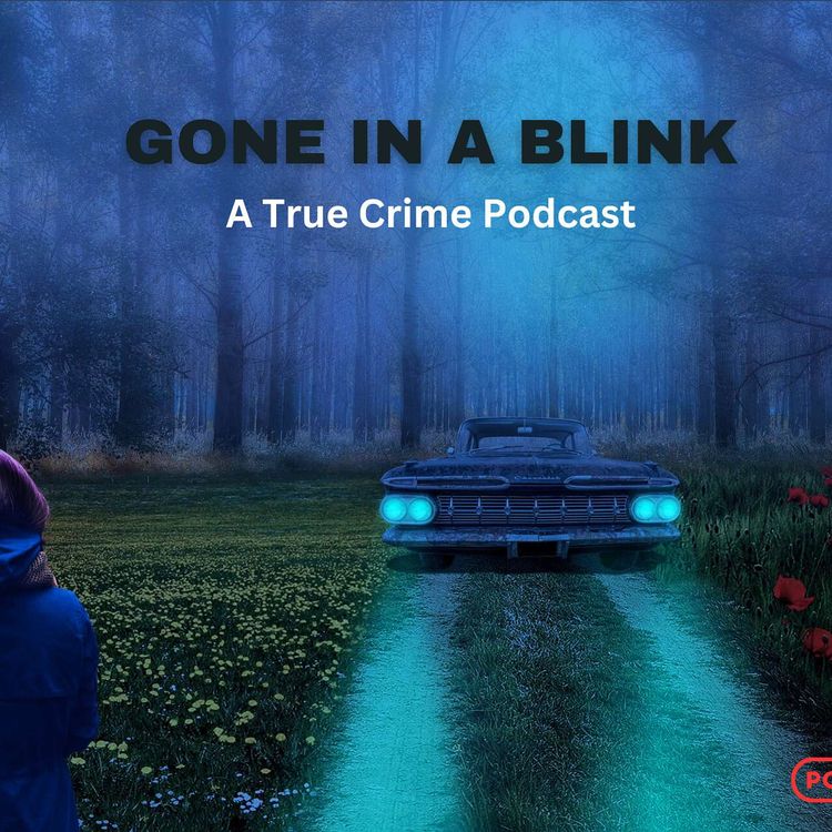 cover art for A Family Evening Turns Tragic: What Really Happened to Teresa Butler