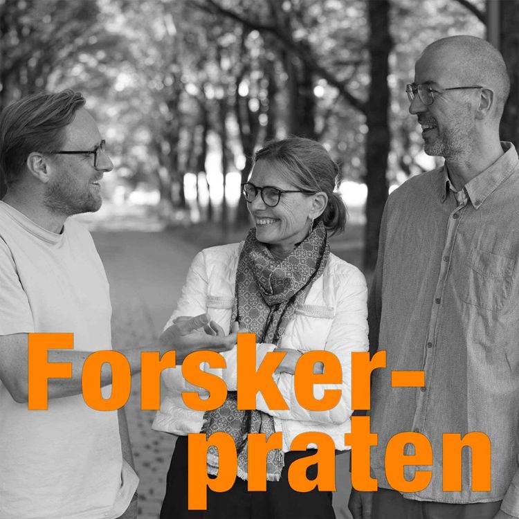 cover art for #1 Kan man styre et land som en bedrift?