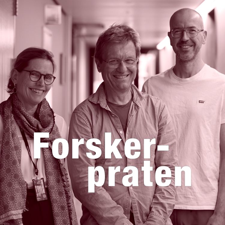 cover art for #4 Gir flere lærere bedre resultater?