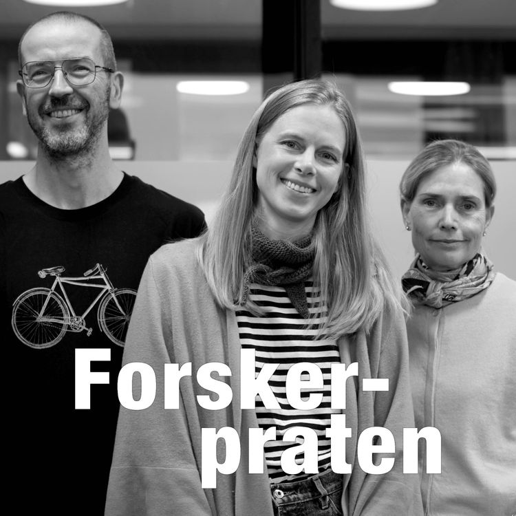 cover art for #7 Gir rushtidsavgift flere elektriske biler?