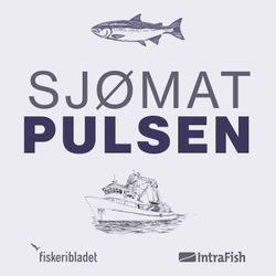 cover art for Sjømatpulsen