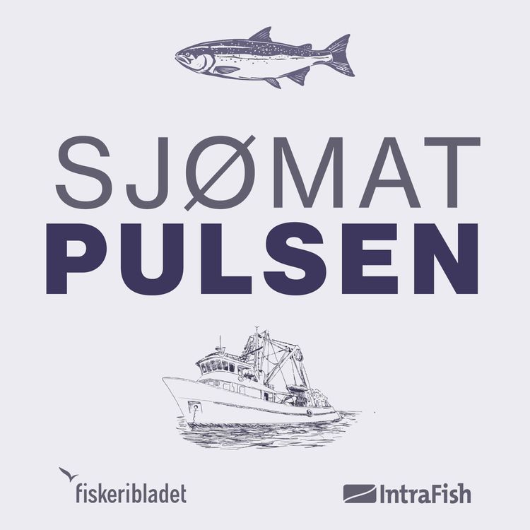 cover art for Debatt - Krig, toll og fisk