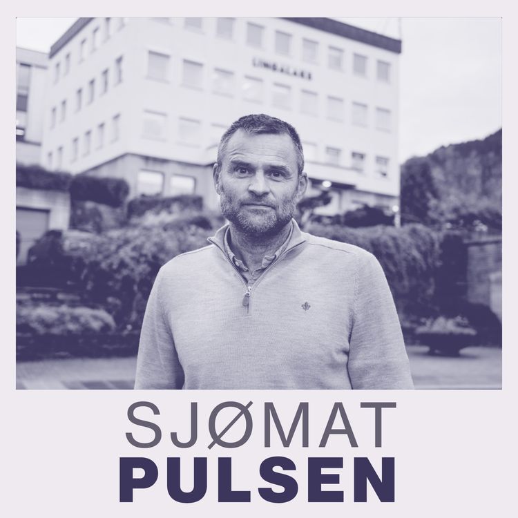 cover art for Lingalaks og framtiden i Hardanger