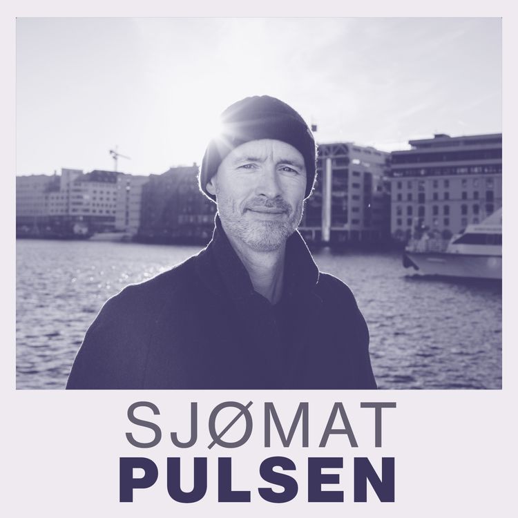 cover art for Ingen "quick fix" for torsken