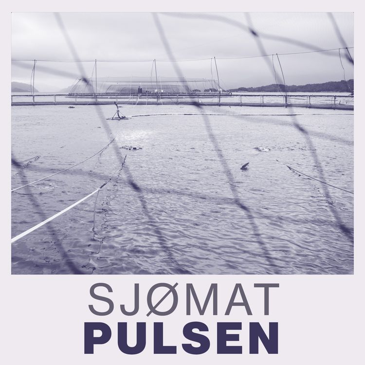 cover art for Marø Havbruk og E. Karstensen Fiskeoppdrett