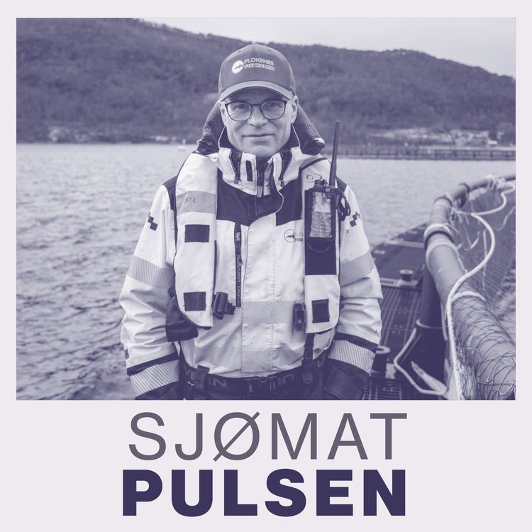 cover art for De minste oppdrettsselskapene: Flokenes Fiskefarm