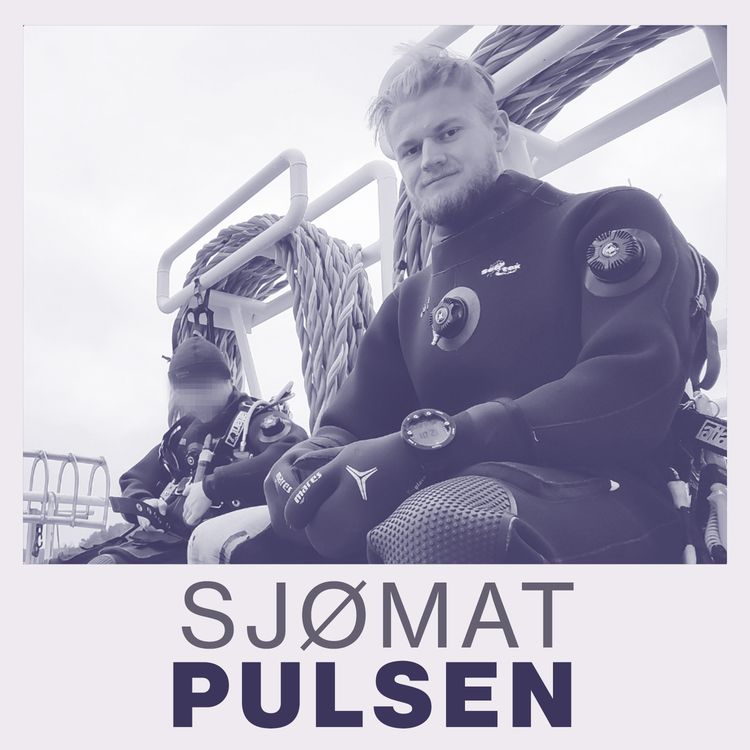 cover art for Det siste dykket: Vegard (25) døde i en oppdrettsmerd