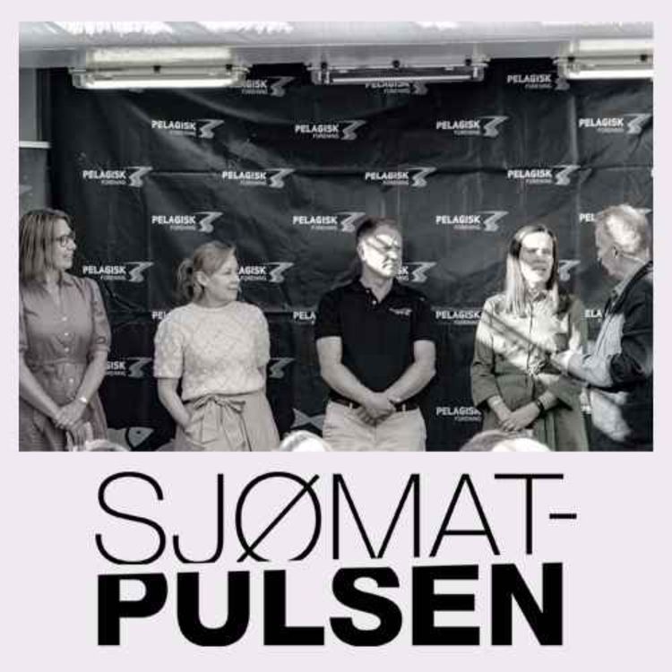 cover art for Hvorfor er fisk blitt så dyrt?
