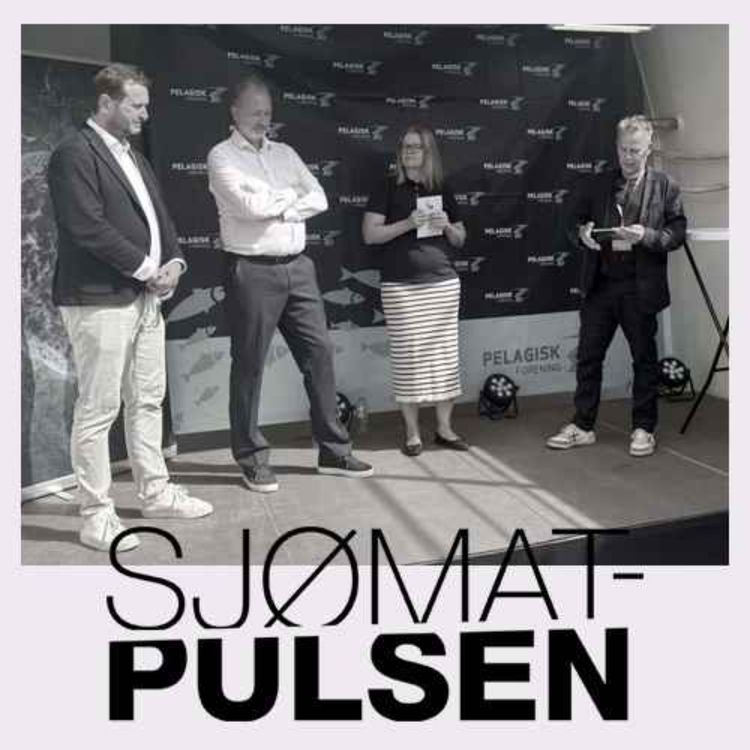 cover art for Kampen om havarealene