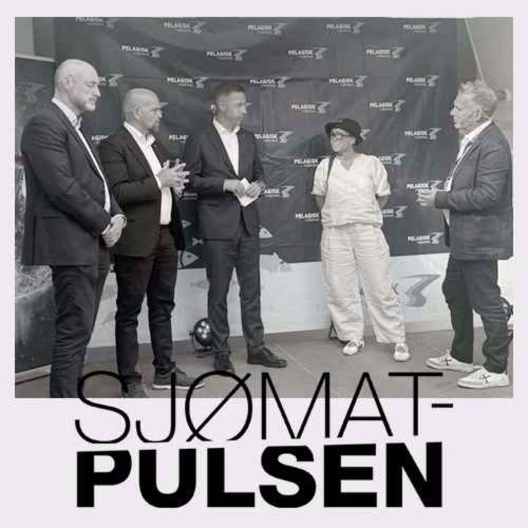 cover art for Kan vi sikre oss selv i en krise?