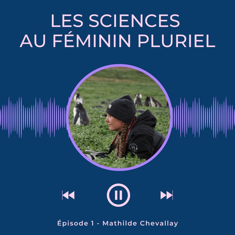 cover art for Épisode 1 - Mathilde Chevallay
