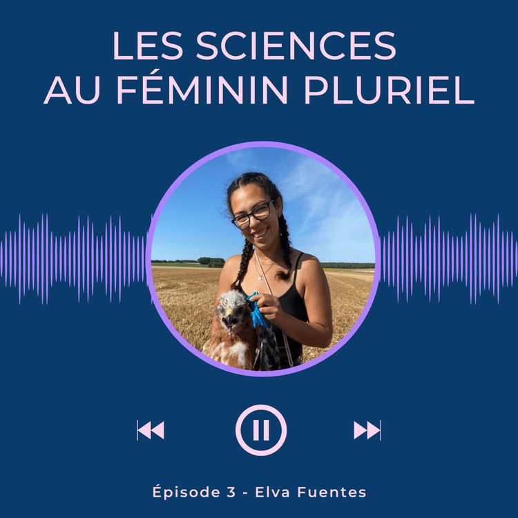 cover art for Épisode 3 - Elva Fuentes