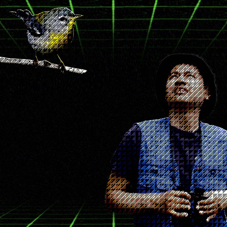 cover art for Bird-Watching Will Blow Your Mind (PTFO Vault)