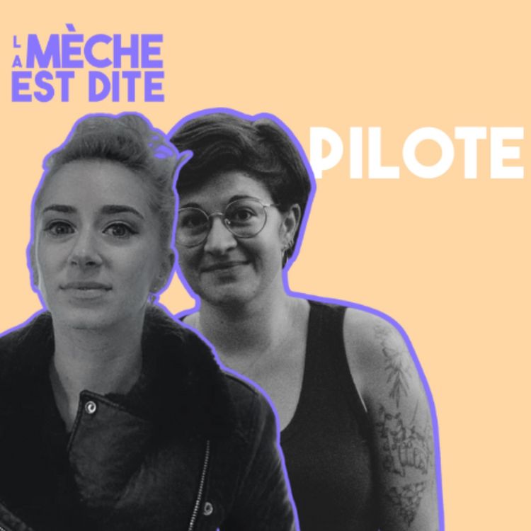 cover art for Le pilote de LA MÈCHE EST DITE