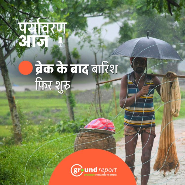 cover art for देश के 60 फीसदी हिस्से में मानसून फिर सक्रिय