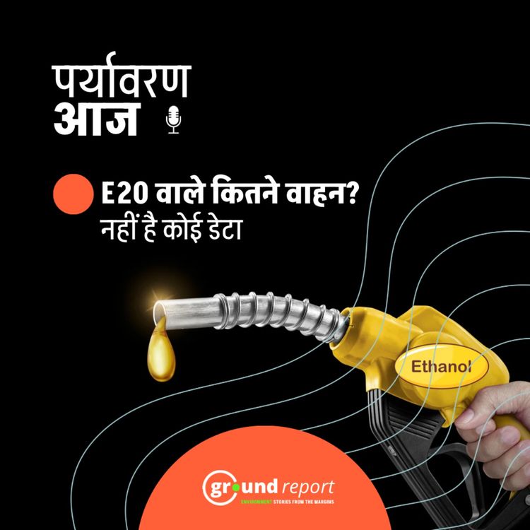 cover art for सरकार को नहीं पता कितने प्रतिशत पेट्रोल वाहन ई-20 तैयार