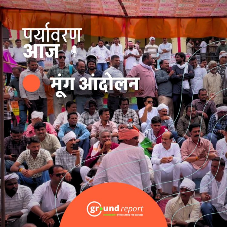 cover art for मध्य प्रदेश में मूंग खरीदी को लेकर दूसरे दिन भी किसान पदयात्रा जारी   