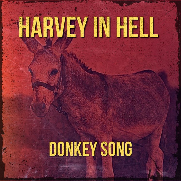 cover art for 16. Donkey Song