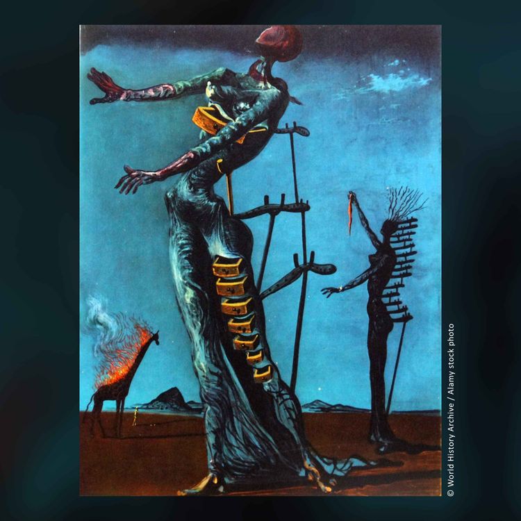 cover art for Die brennende Giraffe